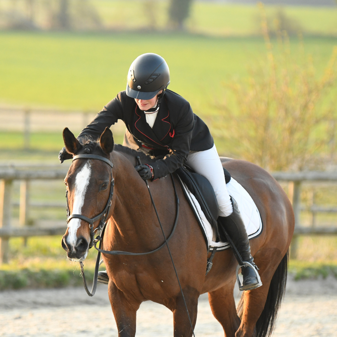 caresse à la fin d'une reprise de dressage
