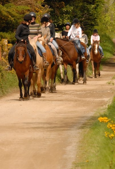 Balade à cheval avec cavaliers d'un centre équestre