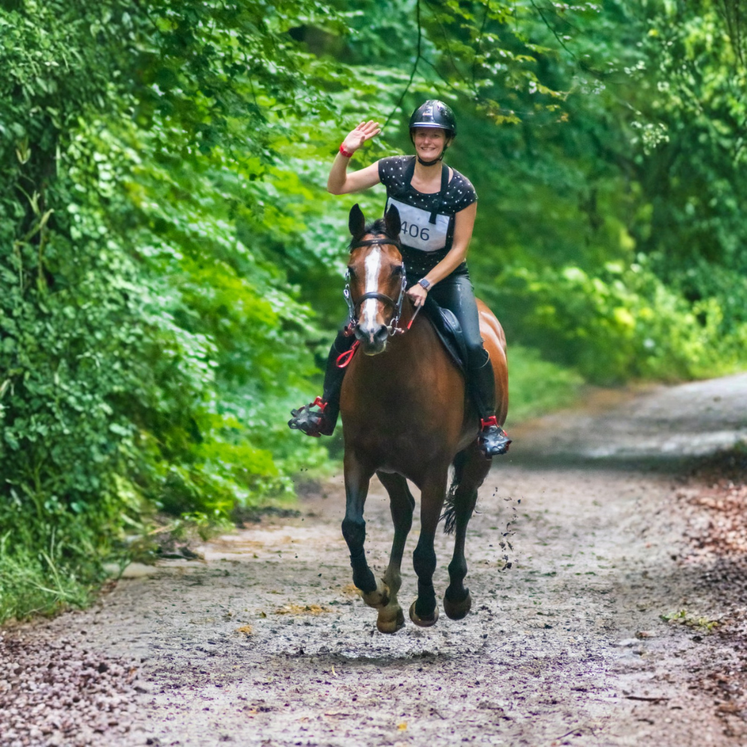 Compétition d'endurance à cheval