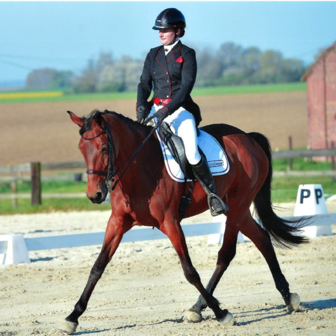Concours de dressage à cheval